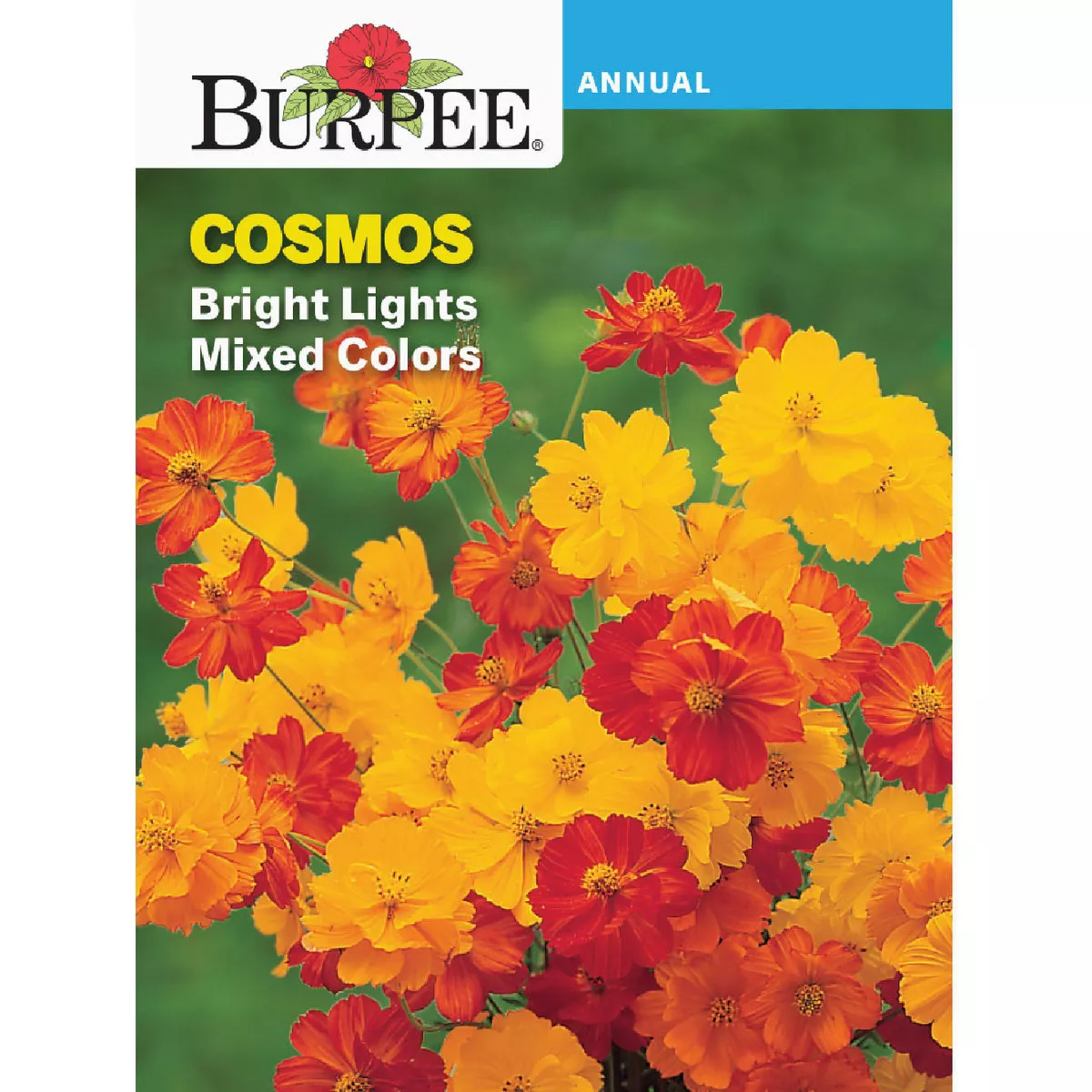 Burpee Cosmos Bright Lights Mixed Colors Seed Packet