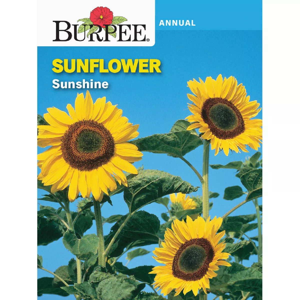 Burpee Sunflower Sunshine Seed Packet-