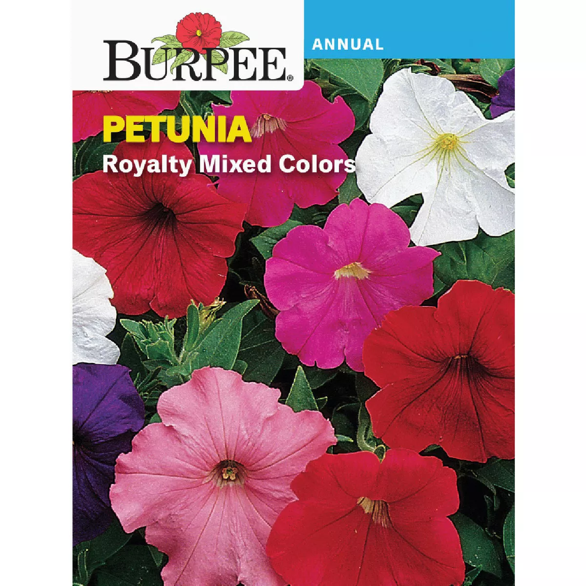 Burpee Petunia Royalty Mixed Colors Seed Packet