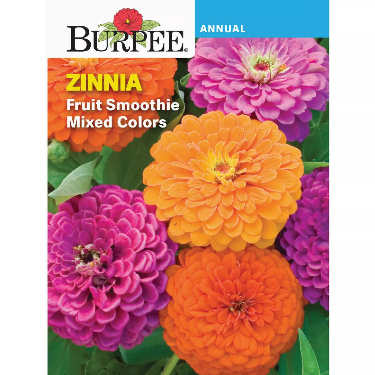 Burpee Zinnia Fruit Smoothie Mixed Colors Seed Packet