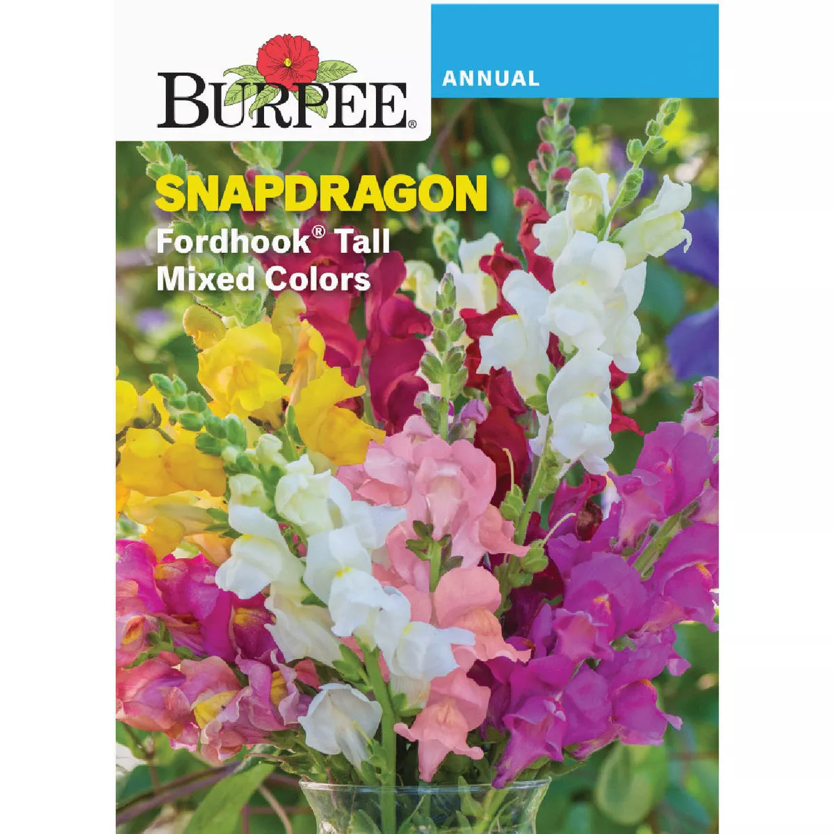 Burpee Snapdragon Fordhook Tall Mixed Colors Seed Packet