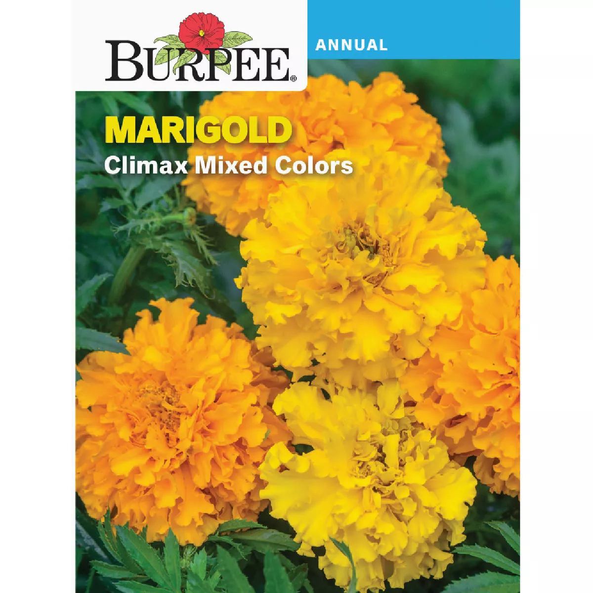 Burpee Marigold Climax Mixed Colors Seed Packet