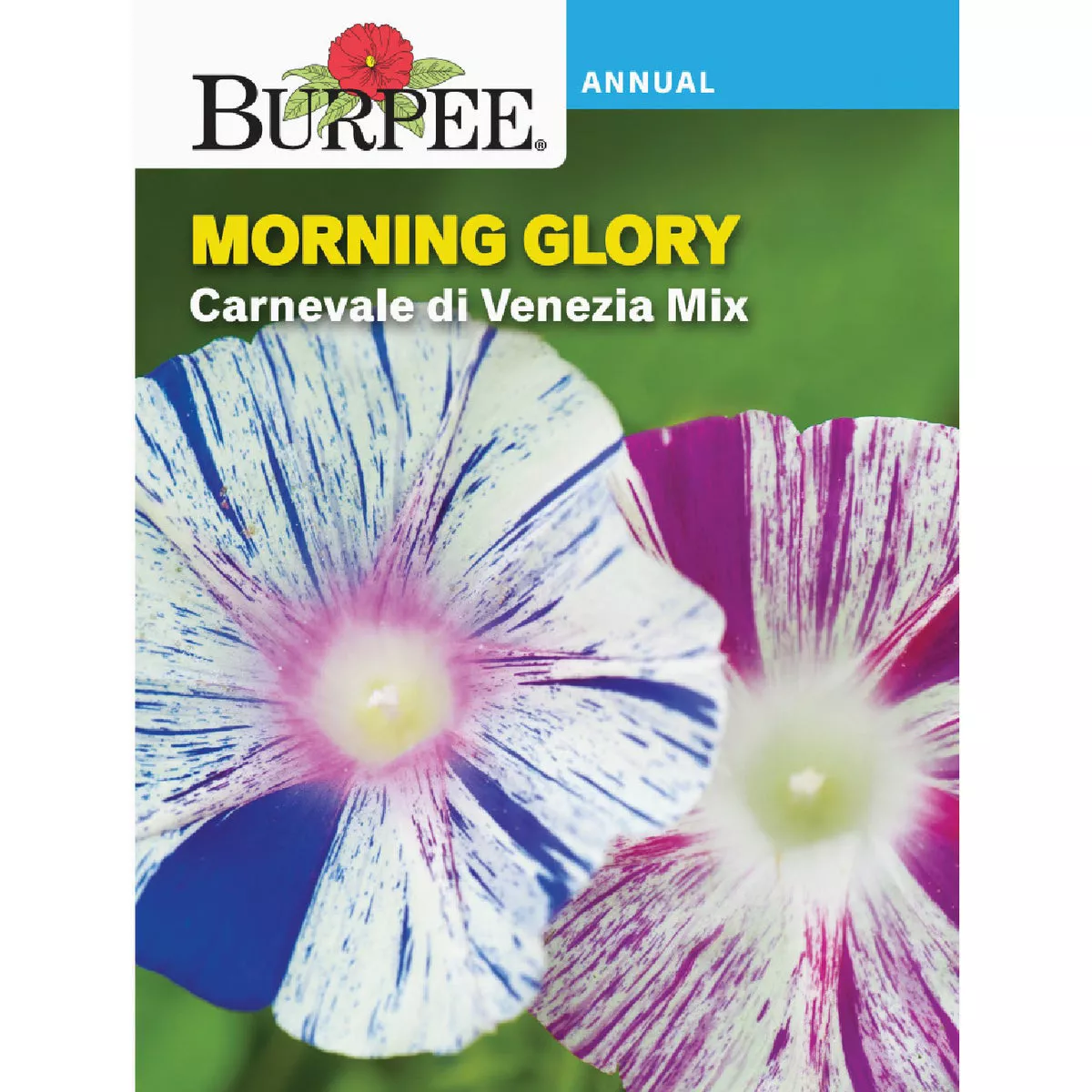 Burpee Morning Glory Carnevale di Venezia Mix Seed Packet