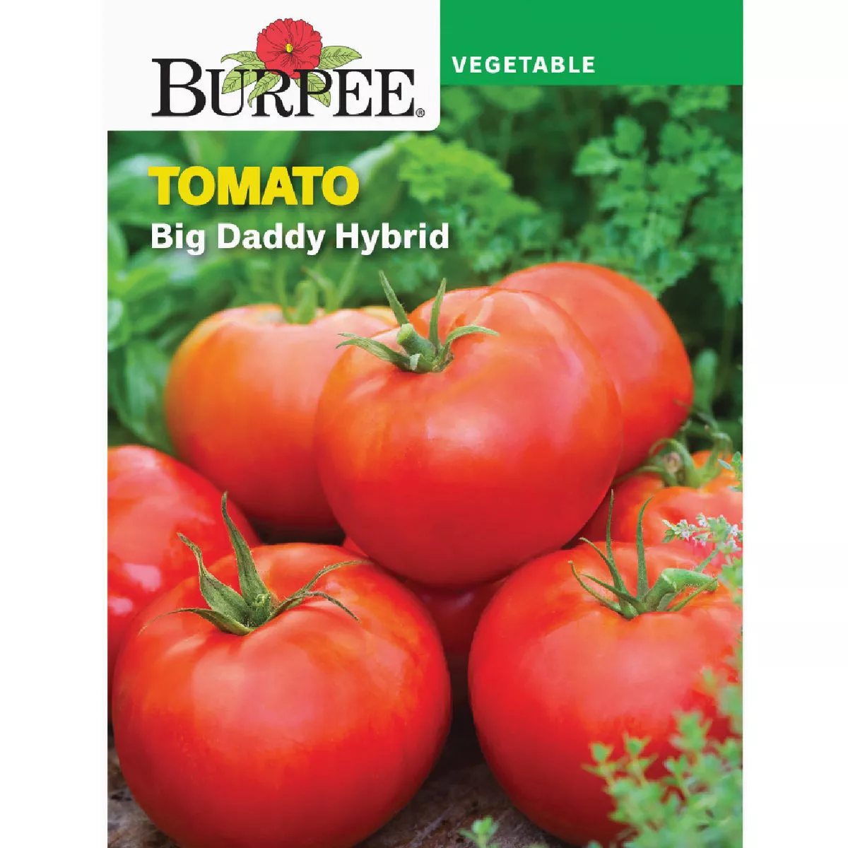 Burpee Tomato Big Daddy Hybrid Seed Packet
