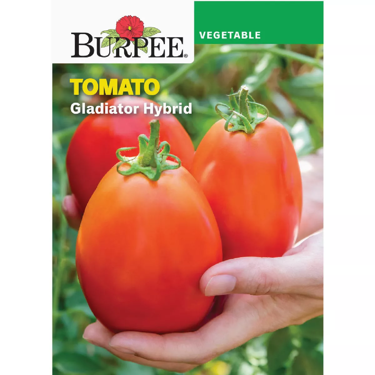 Burpee Tomato Gladiator Hybrid Seed Packet