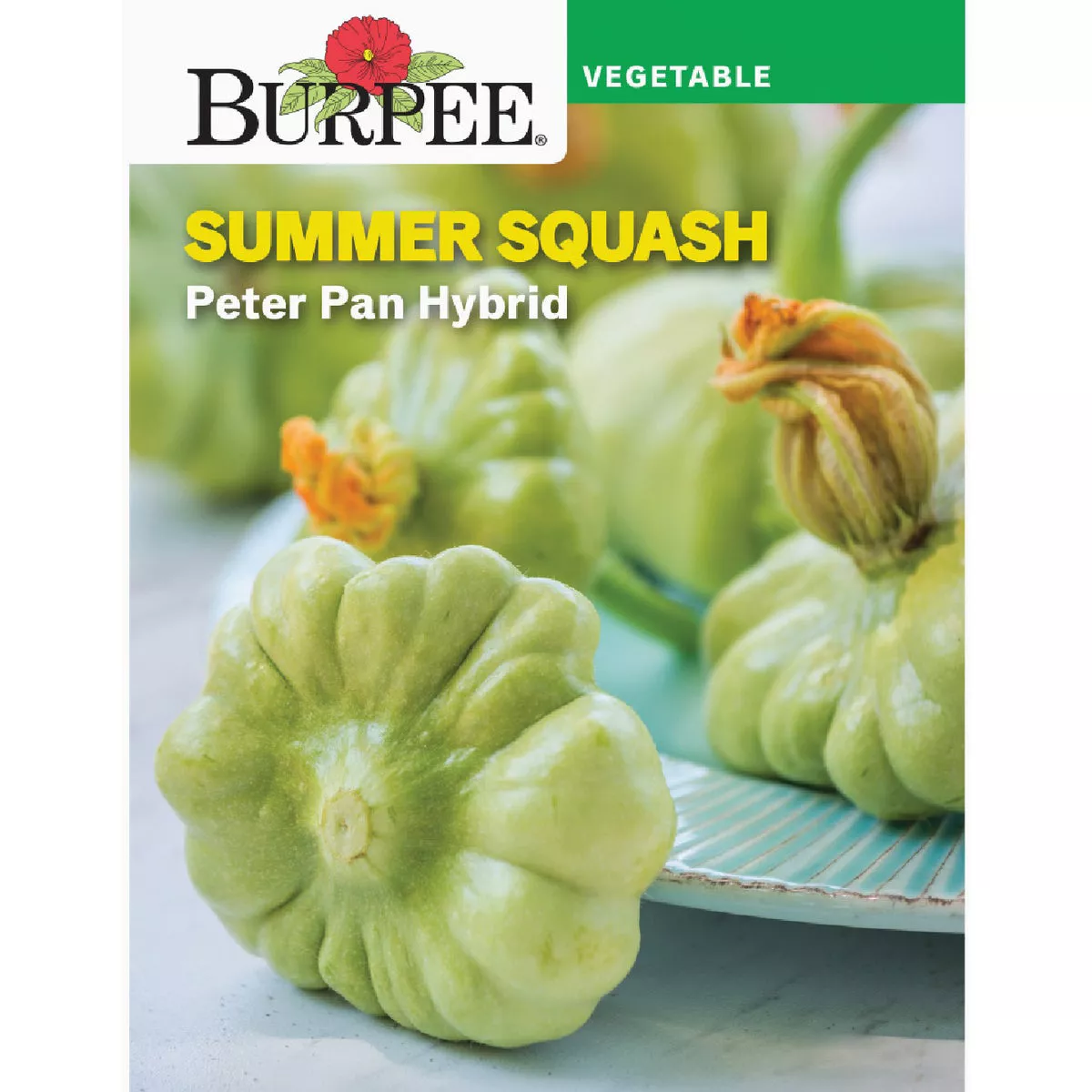 Burpee Squash, Summer Peter Pan Hybrid Seed Packet