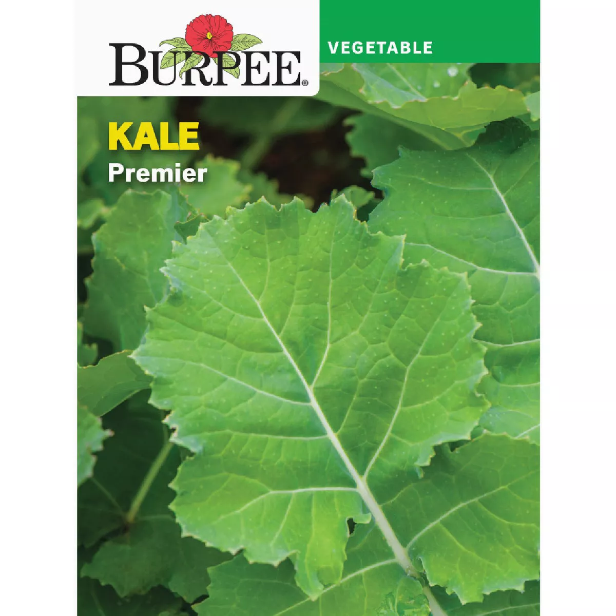 Burpee Kale Premier Seed Packet