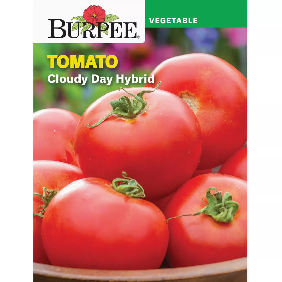 Burpee Tomato Cloudy Day Hybrid Seed Packet