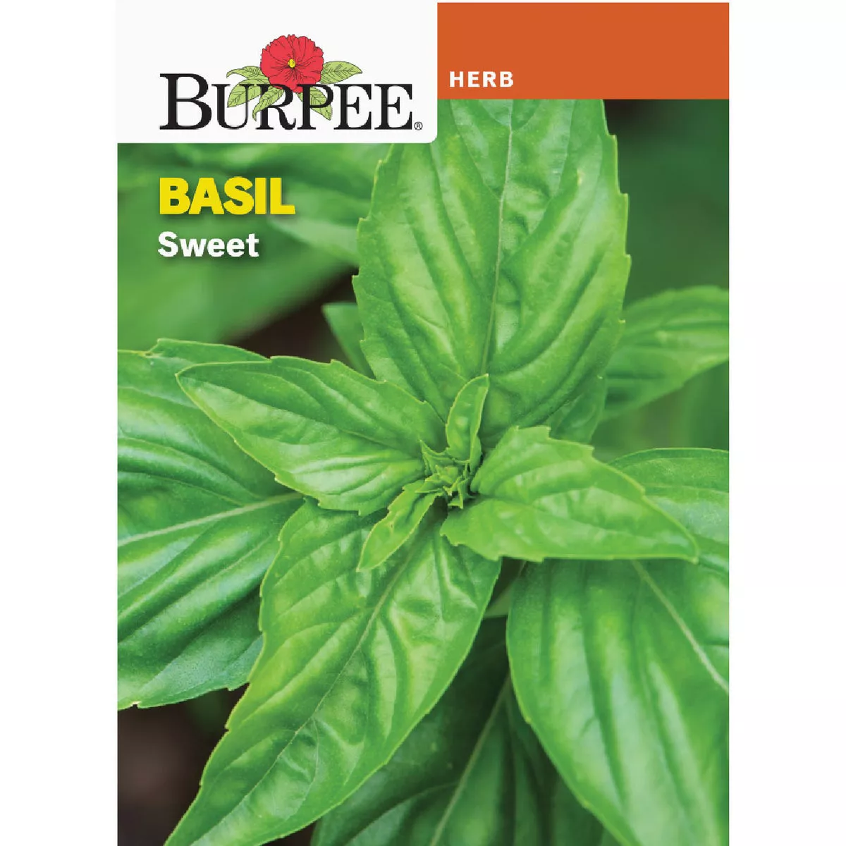 Burpee Basil Sweet Seed Packet