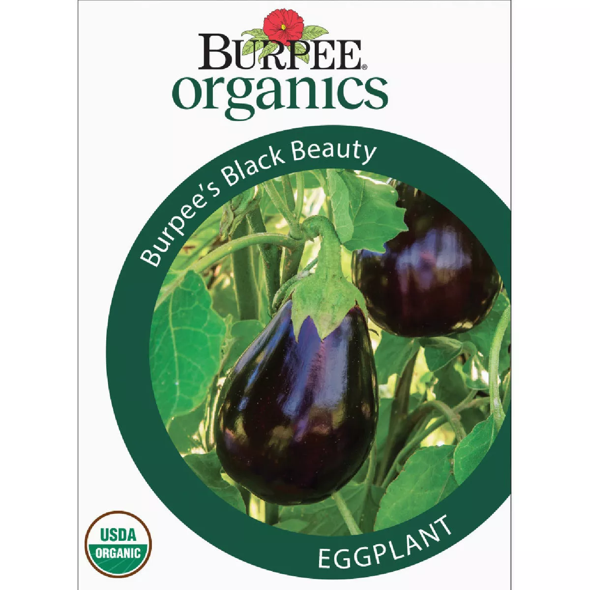 Burpee Organic Eggplant Burpee's Black Beauty Seed Packet