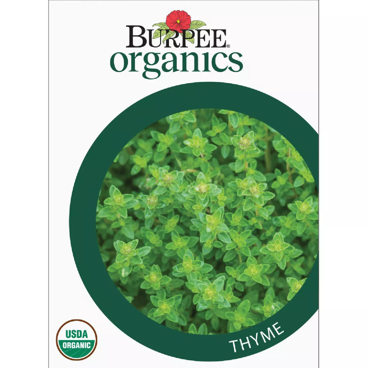 Burpee Organic Thyme 0 Seed Packet