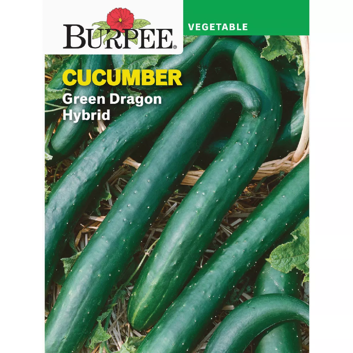 Burpee Cucumber Green Dragon Hybrid Seed Packet