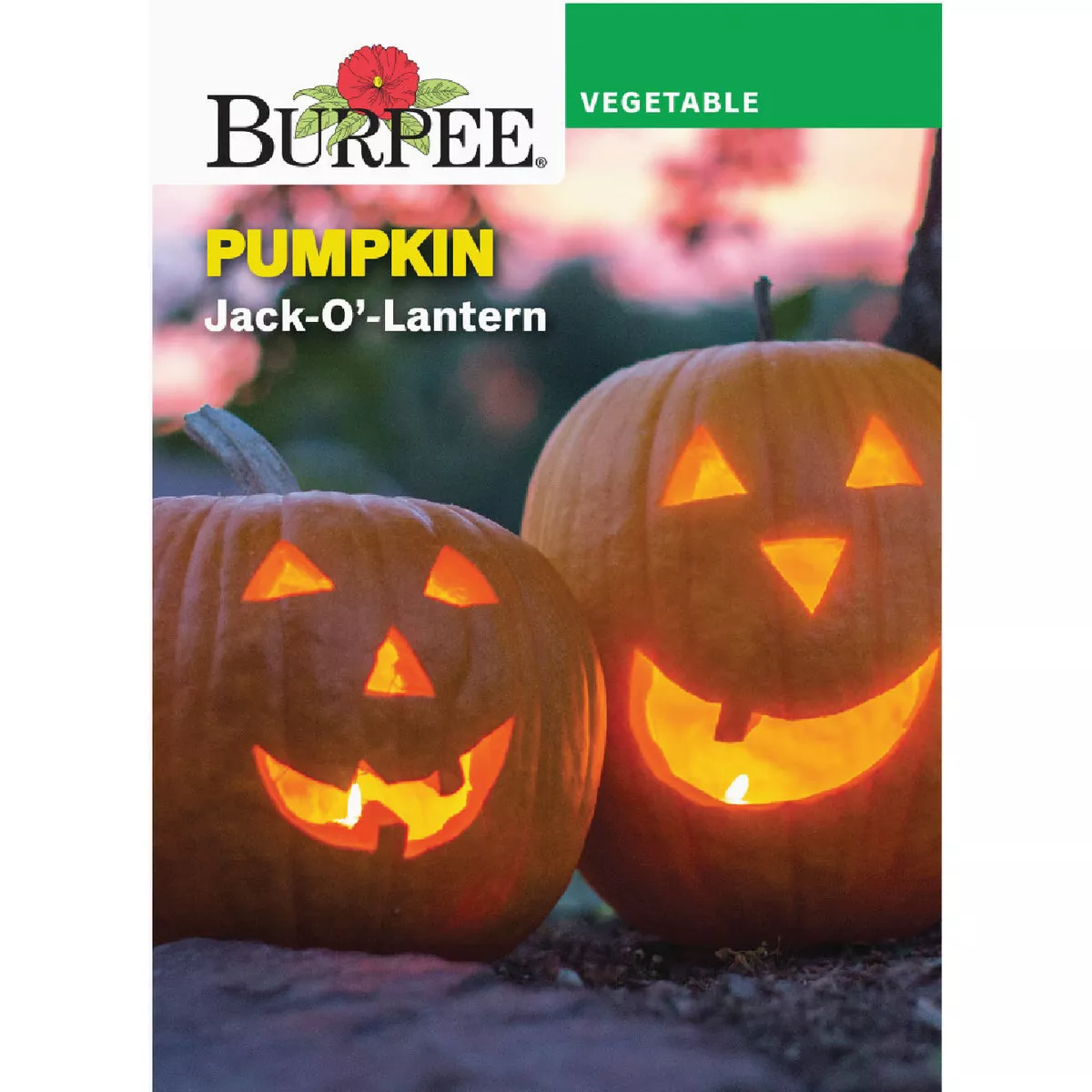 Burpee Heirloom Pumpkin Jack-O'-Lantern Seed Packet