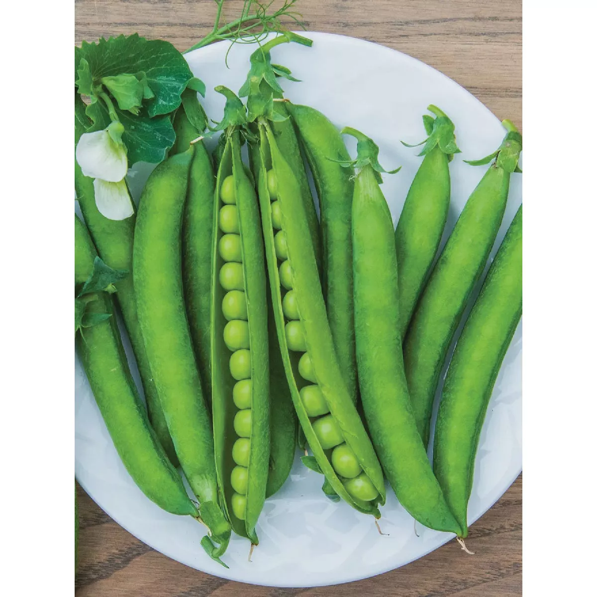 Burpee Heirloom Pea Sugar Daddy Seed Packet