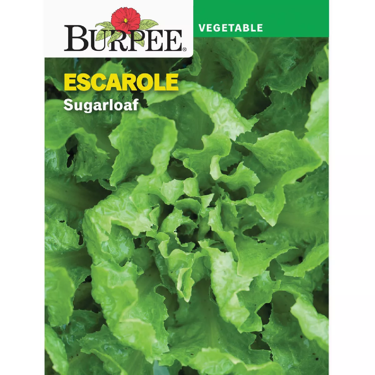 Burpee Escarole Sugarloaf Seed Packet
