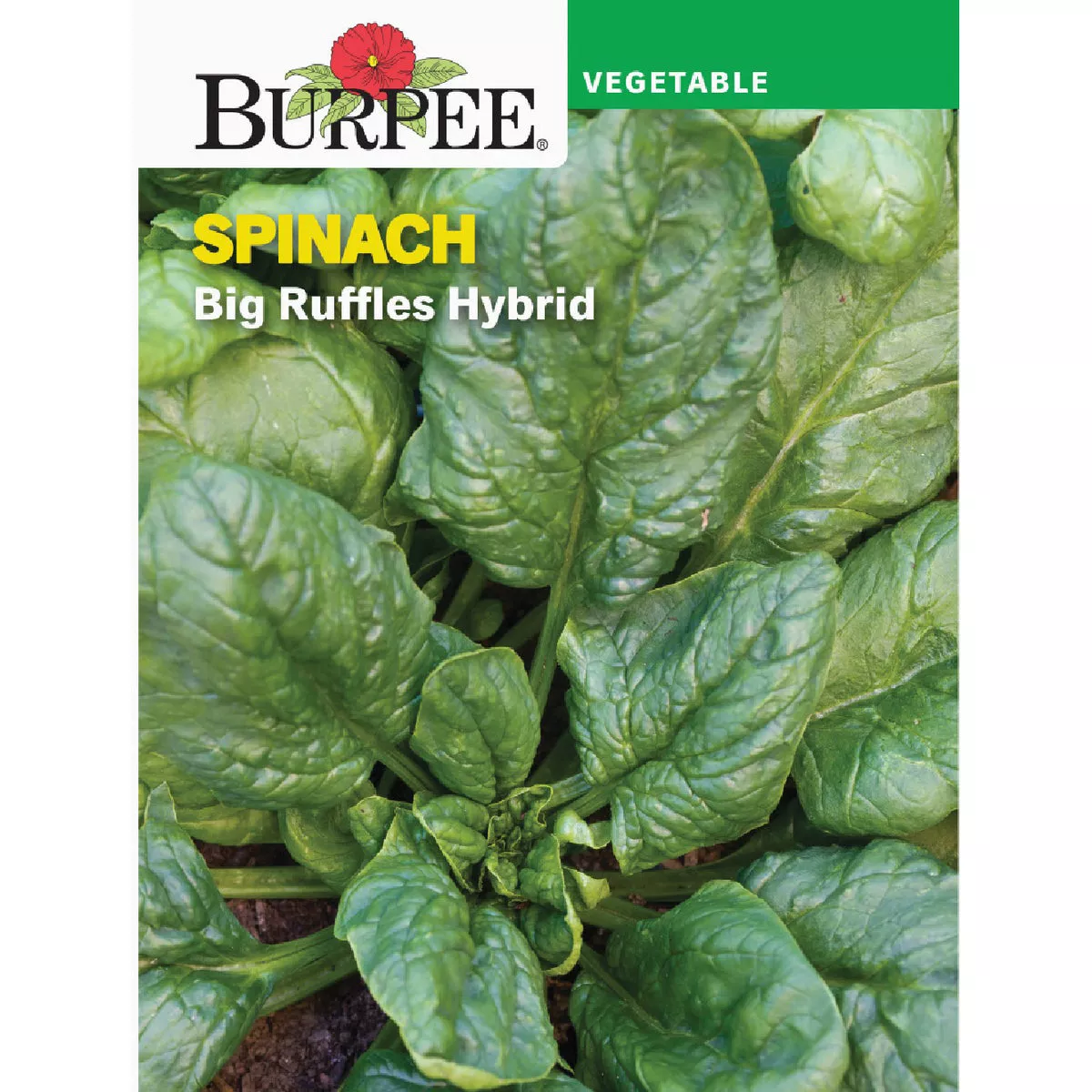 Burpee Spinach Big Ruffles Hybrid Seed Packet