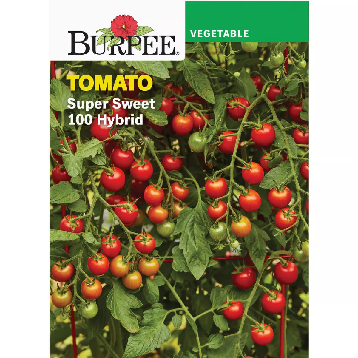 Burpee Tomato Super Sweet 100 Hybrid Seed Packet