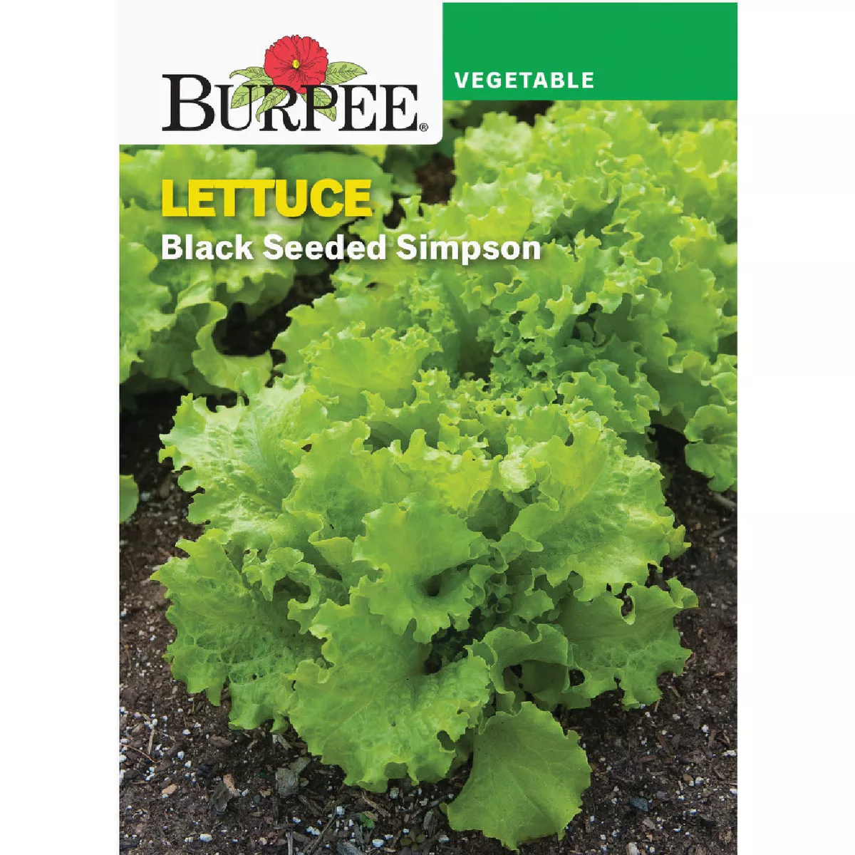 Burpee Lettuce Black Seeded Simpson Seed Packet
