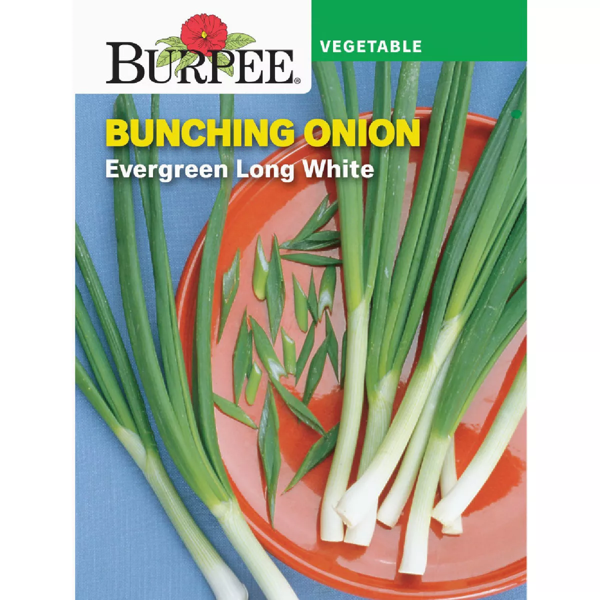 Burpee Onion, Bunching Evergreen Long White Seed Packet