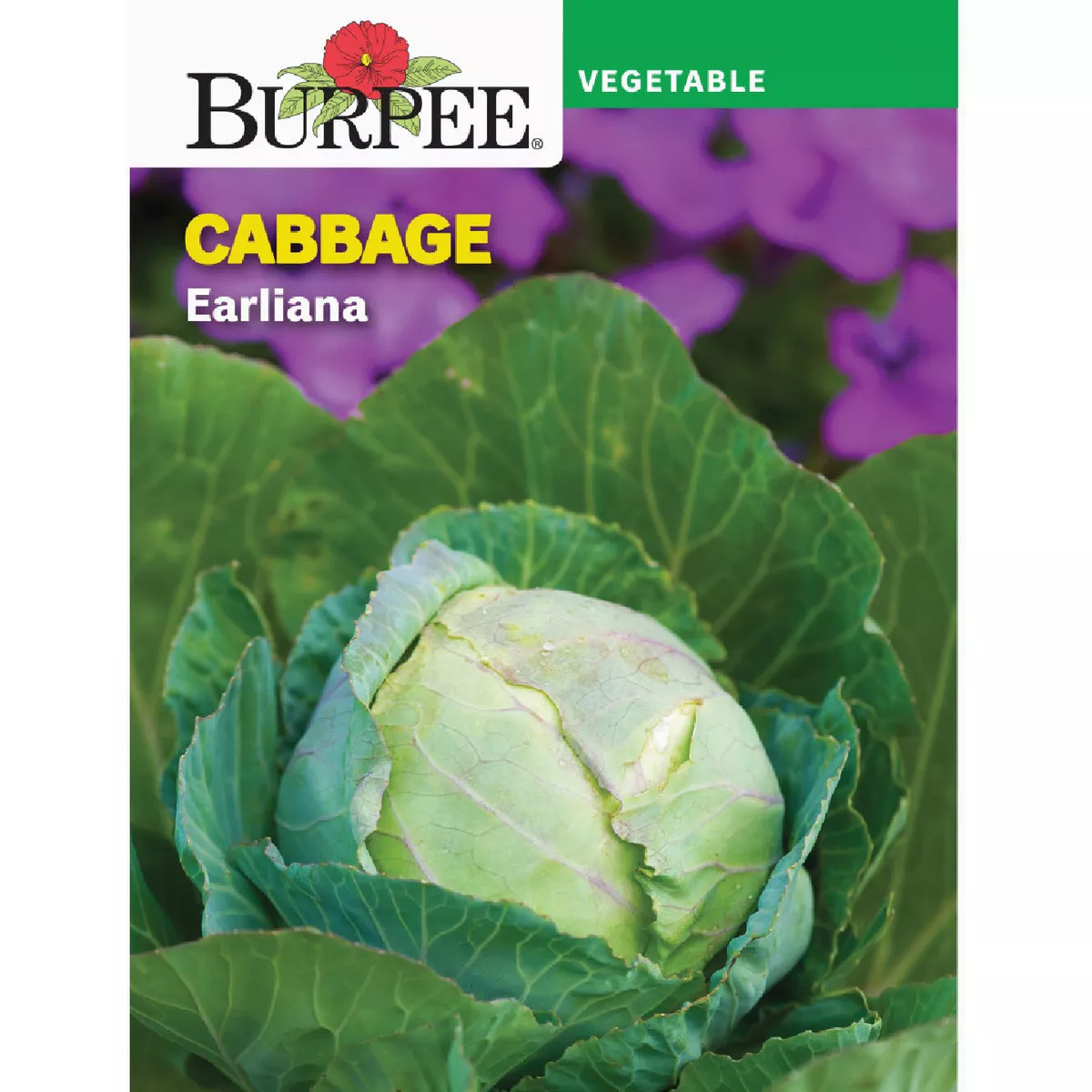 Burpee Cabbage Earliana Seed Packet