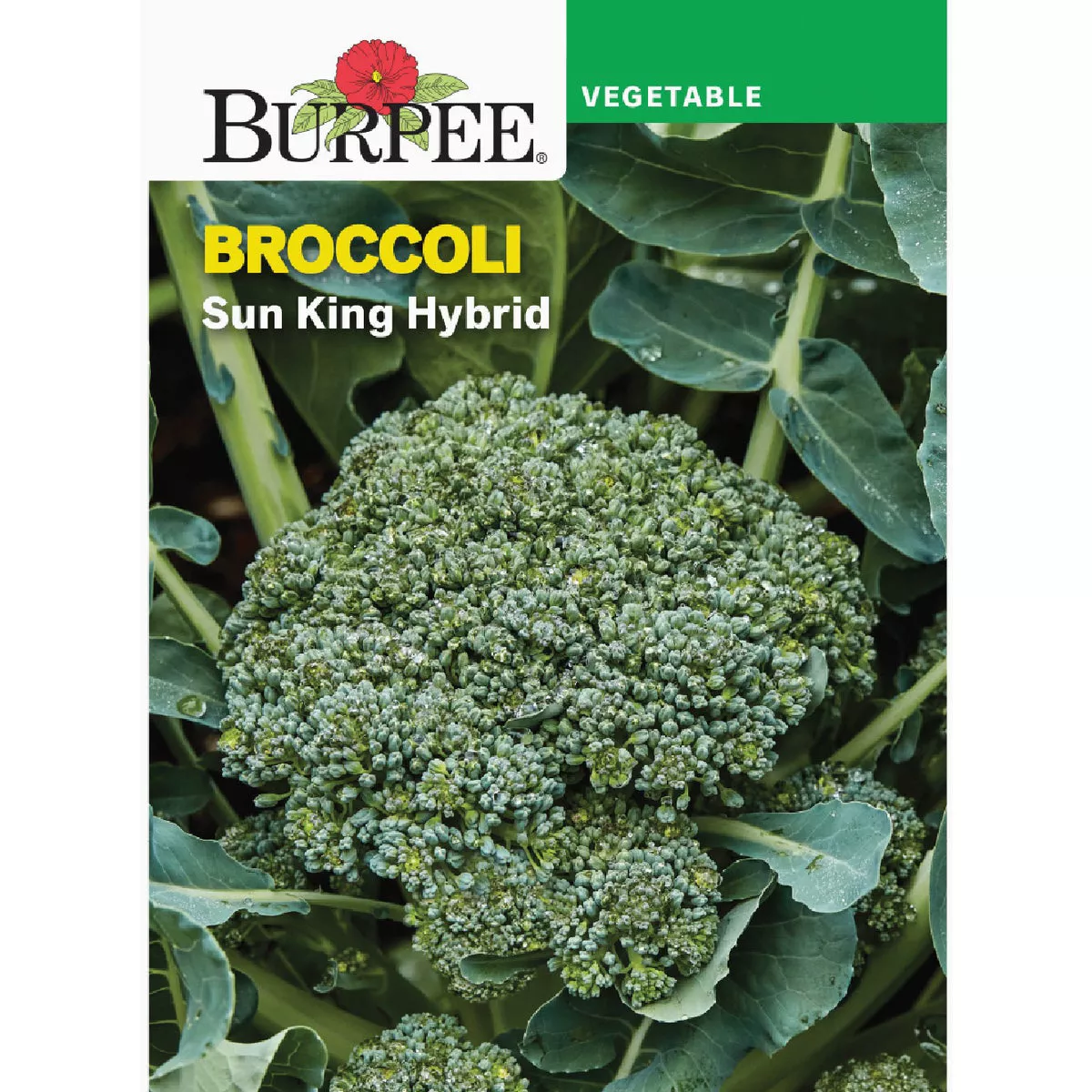 Burpee Broccoli Sun King Hybrid Seed Packet