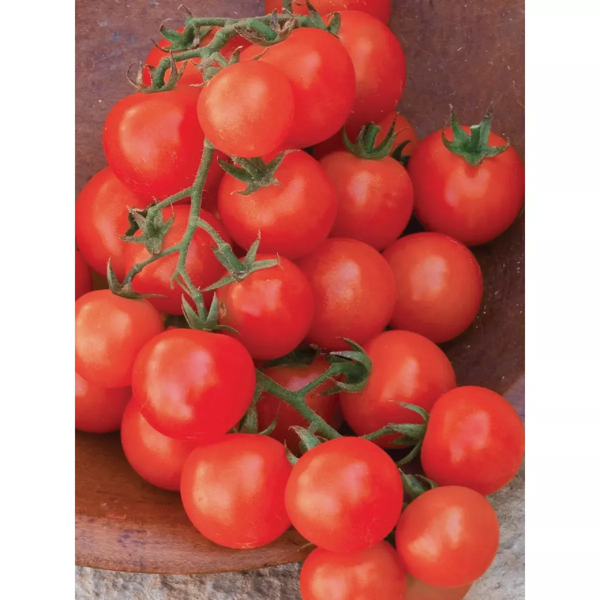 Burpee Organic Tomato Delicious Seed Packet