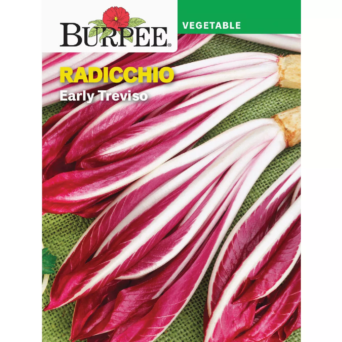 Burpee Radicchio Early Treviso Seed Packet