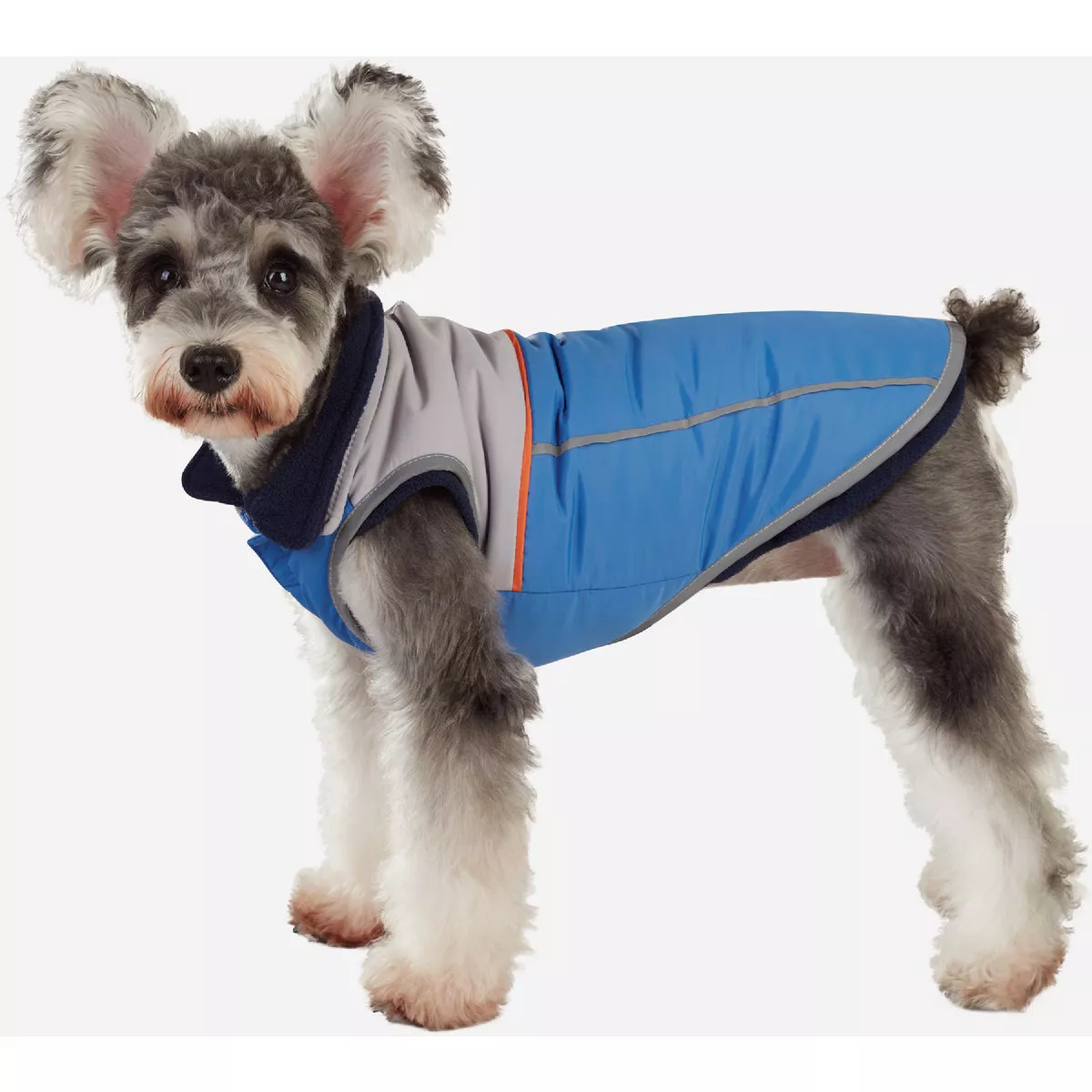 Best Furry Friends Medium Blue Layered Dog Coat