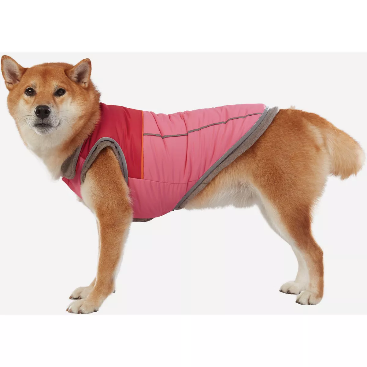Best Furry Friends XL Pink Layered Dog Coat