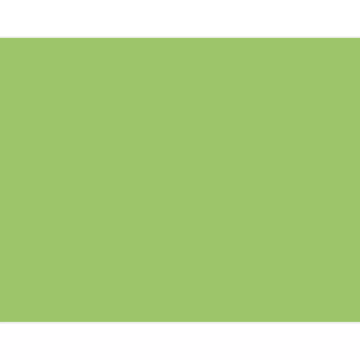 Hillman Blank Sign Green (15 x 19")
