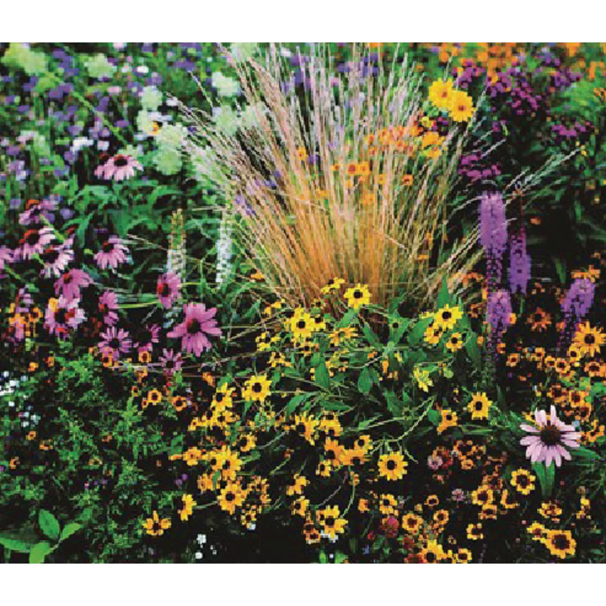Wetsel Seed Honey Bee Mix Wildflowers Seed Packet - photo 2