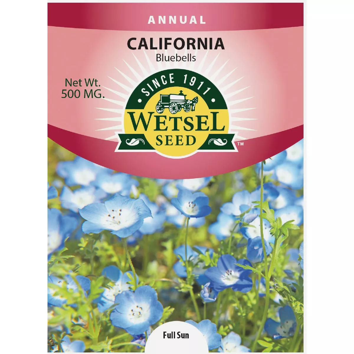 Wetsel Seed California Bluebells Flower Seed Packet