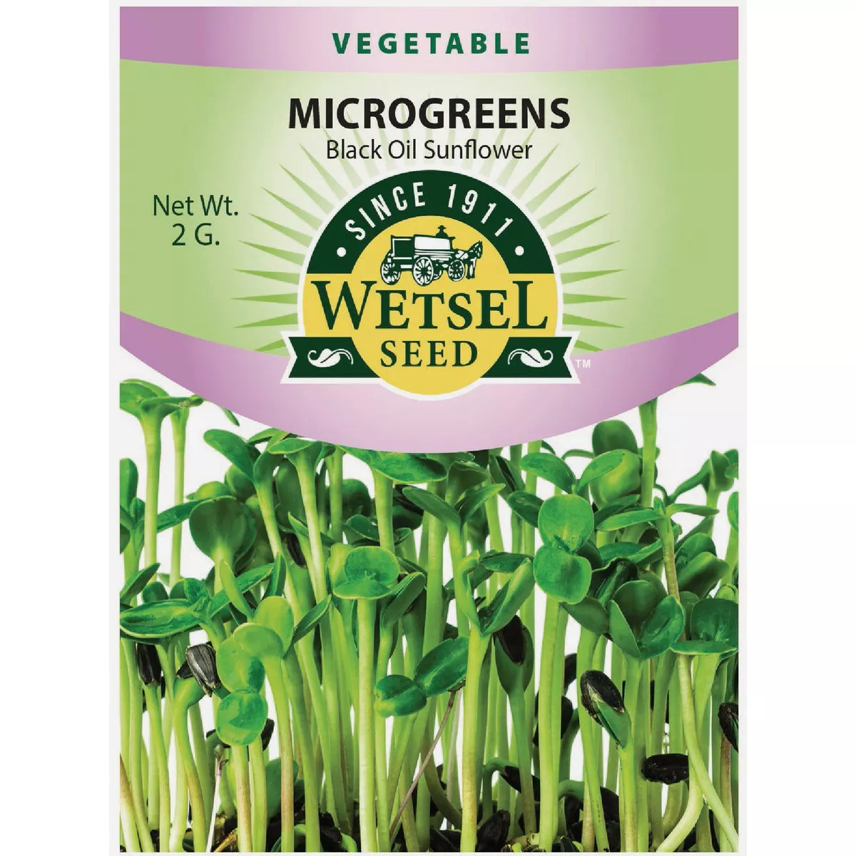Wetsel Seed Microgreens Black Oil Sunflower Seed Packet