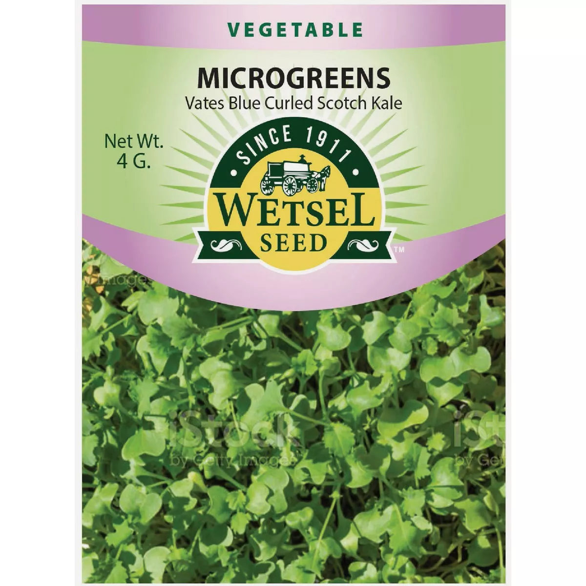 Wetsel Seed Microgreens Vates Blue Curled Scotch Kale Seed Packet