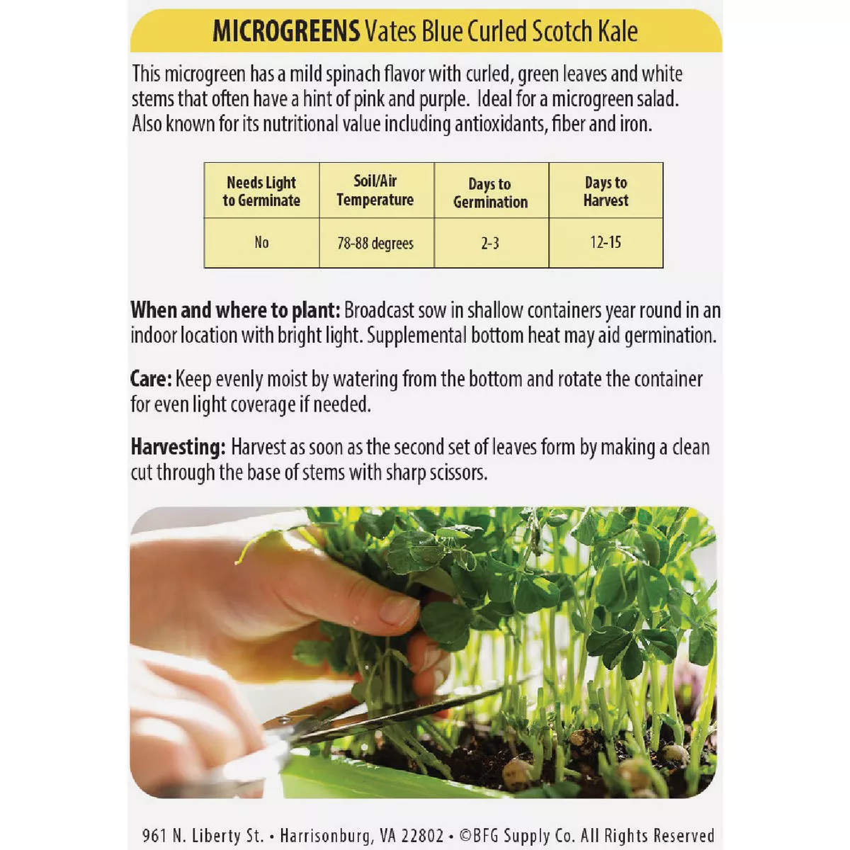 Wetsel Seed Microgreens Vates Blue Curled Scotch Kale Seed Packet - photo 3