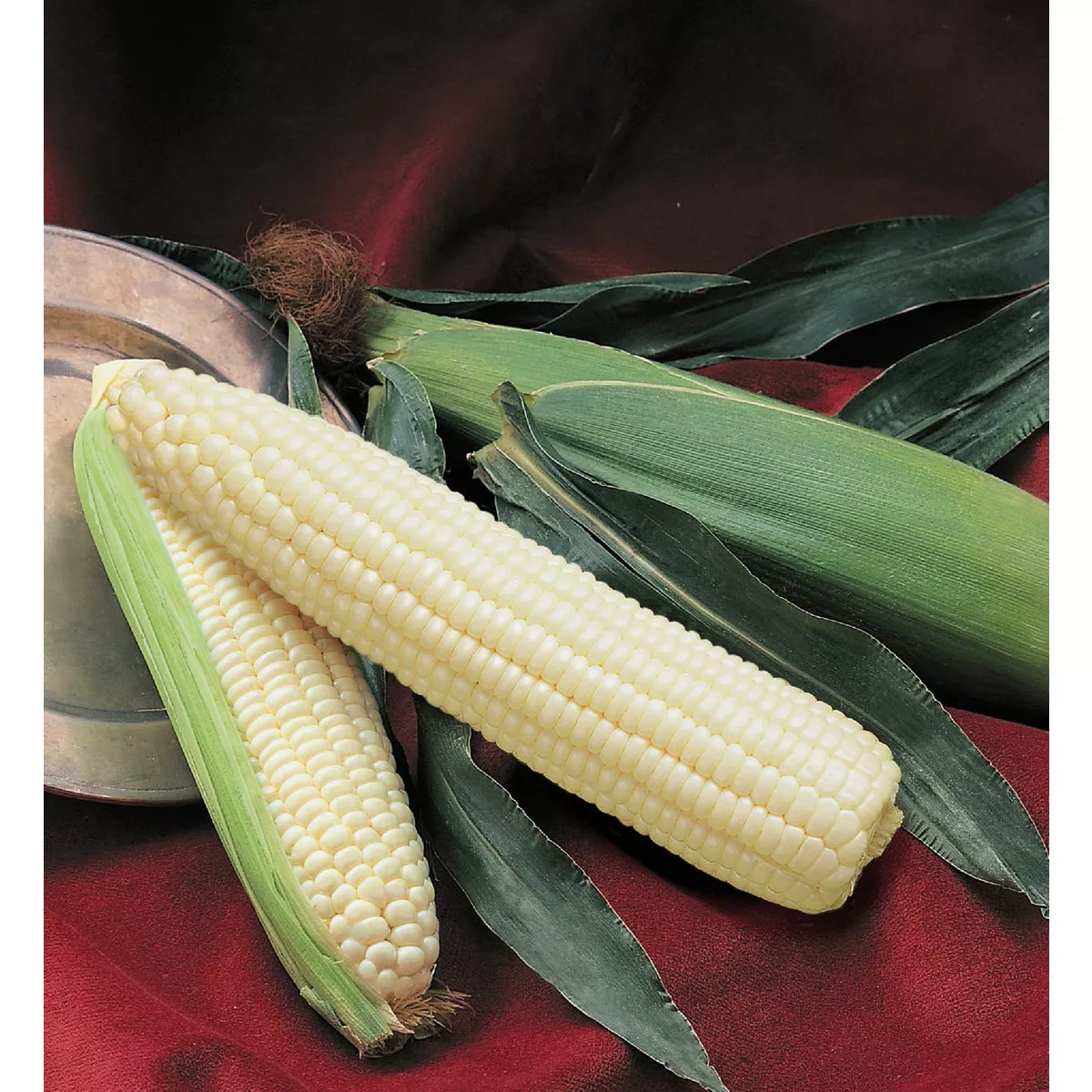 Wetsel Seed Silver Queen Corn Seed Packet - photo 2