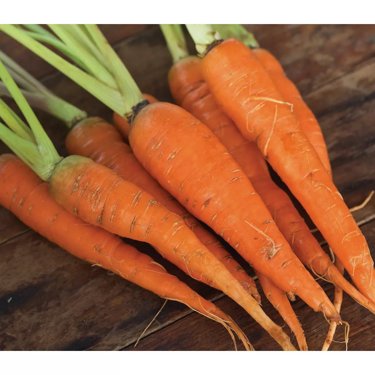Wetsel Seed Chantenay Carrots Seed Packet - photo 2