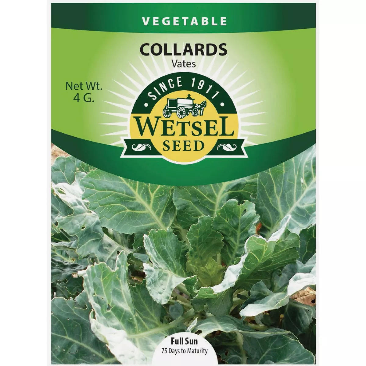 Wetsel Seed Non-Heading Collard Vates Seed Packet