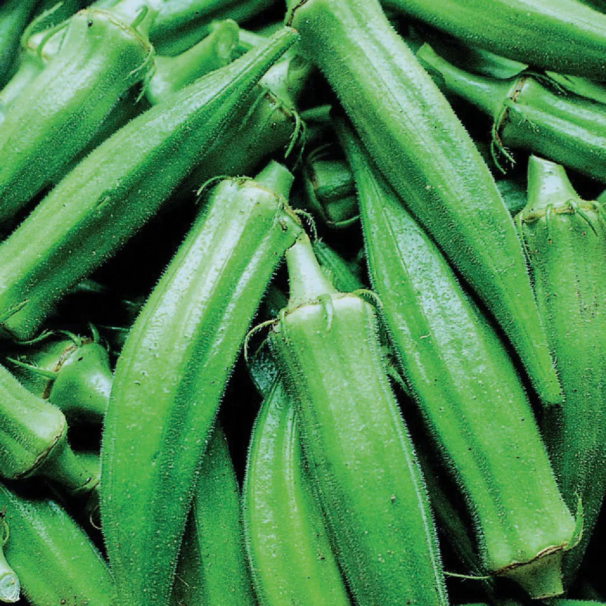 Wetsel Seed Clemson Spineless Tall Okra Seed Packet - photo 2