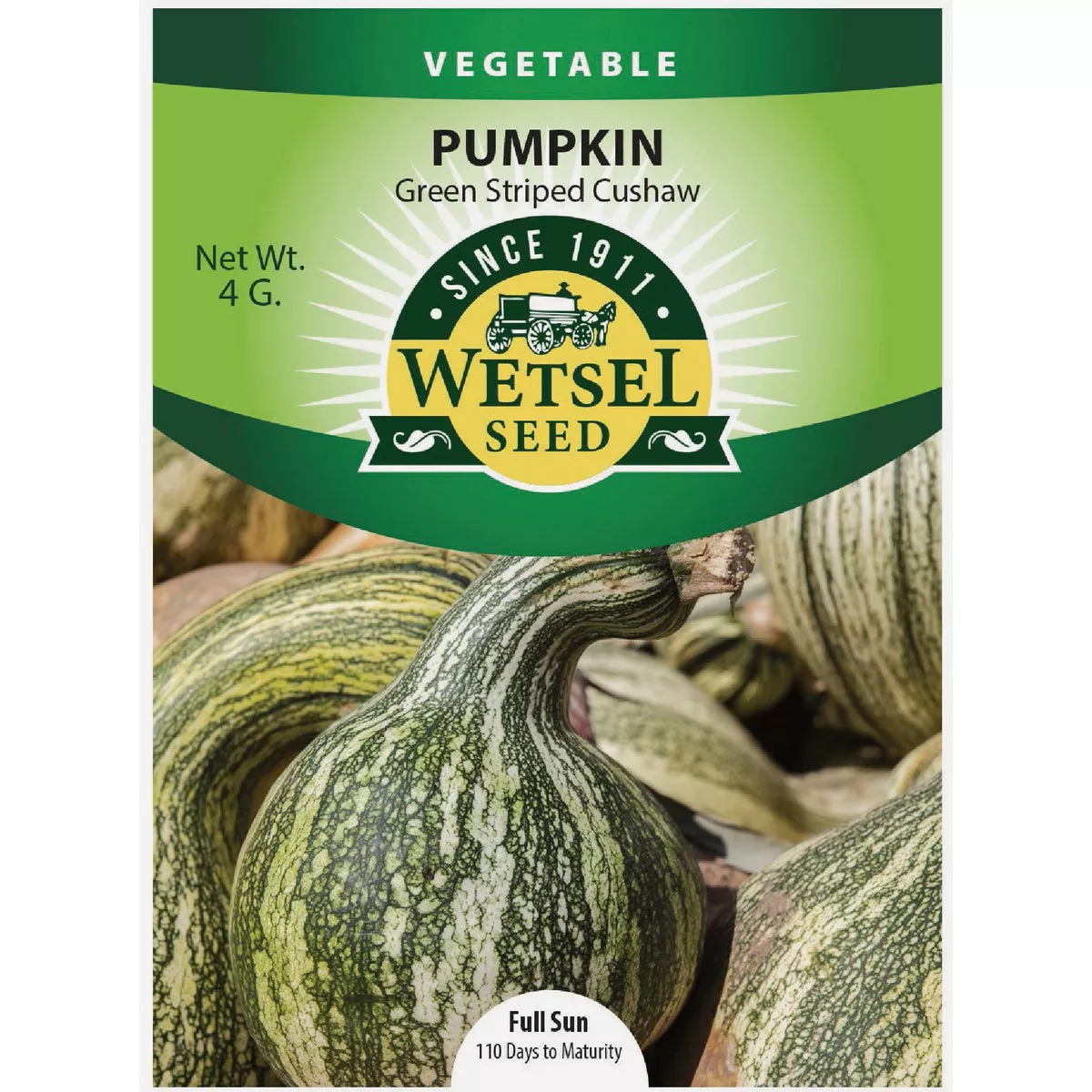 Wetsel Seed Green Striped Cushaw Pumpkin Seed Packet