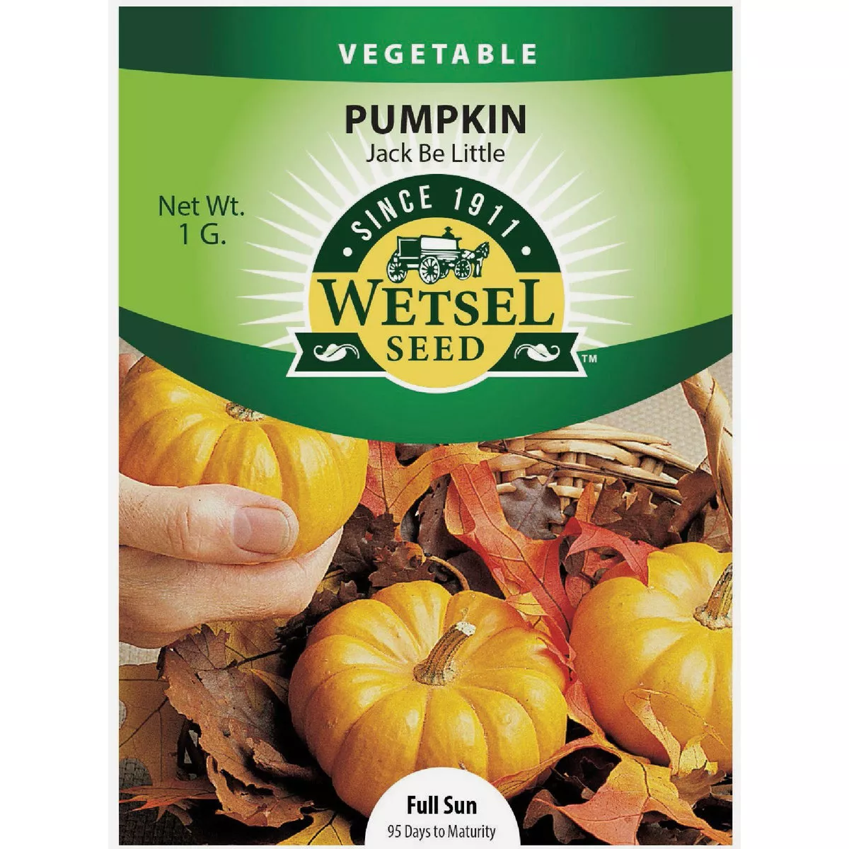 Wetsel Seed Jack Be Little Pumpkin Seed Packet