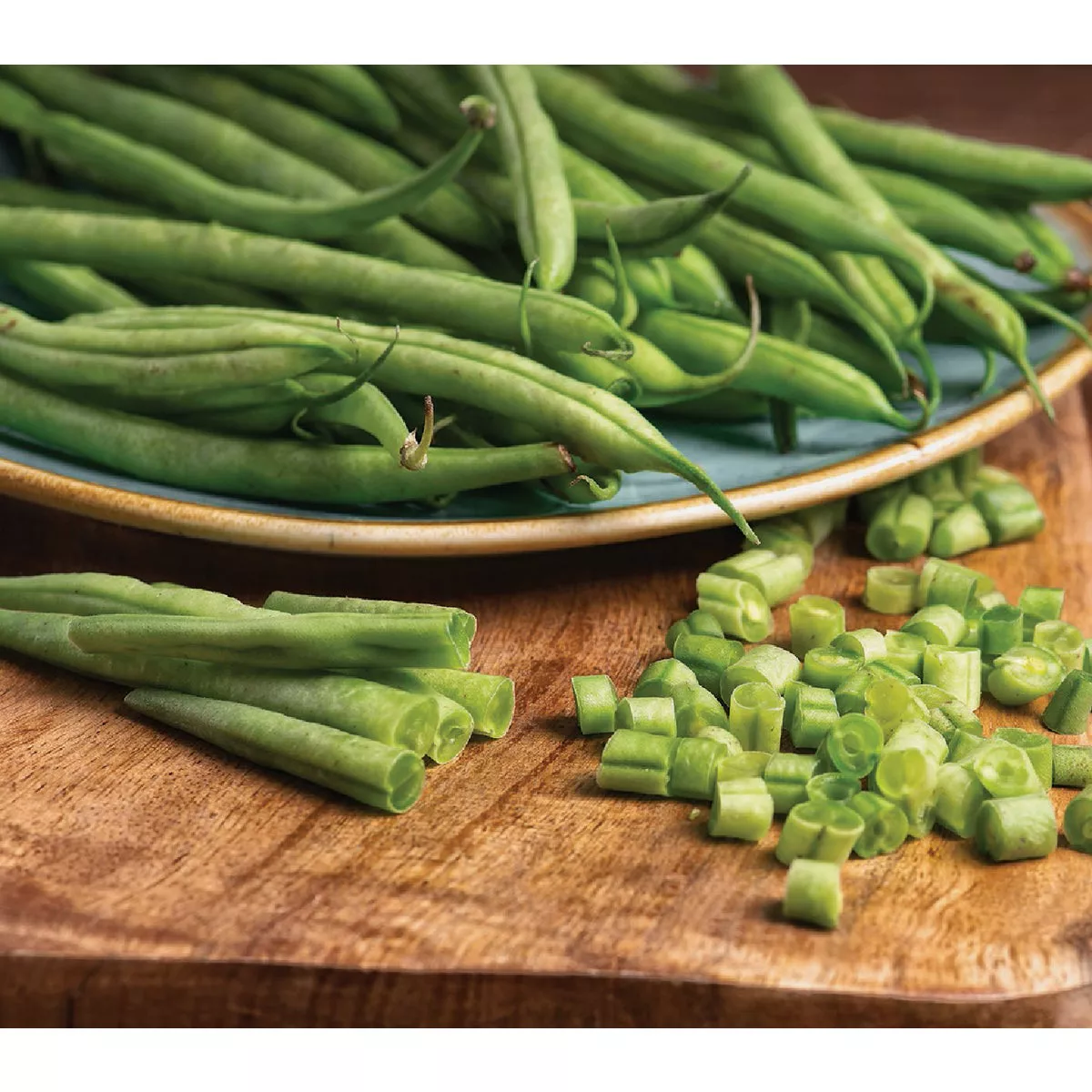 Wetsel Seed Heirloom Blue Lake Bush Bean Seed Packet - photo 2
