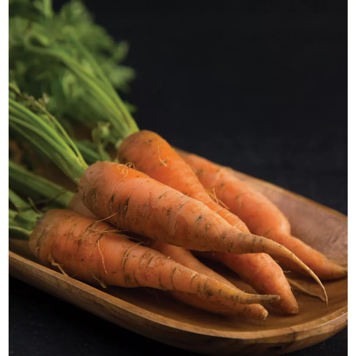 Wetsel Seed Heirloom Danver Carrots Seed Packet - photo 2