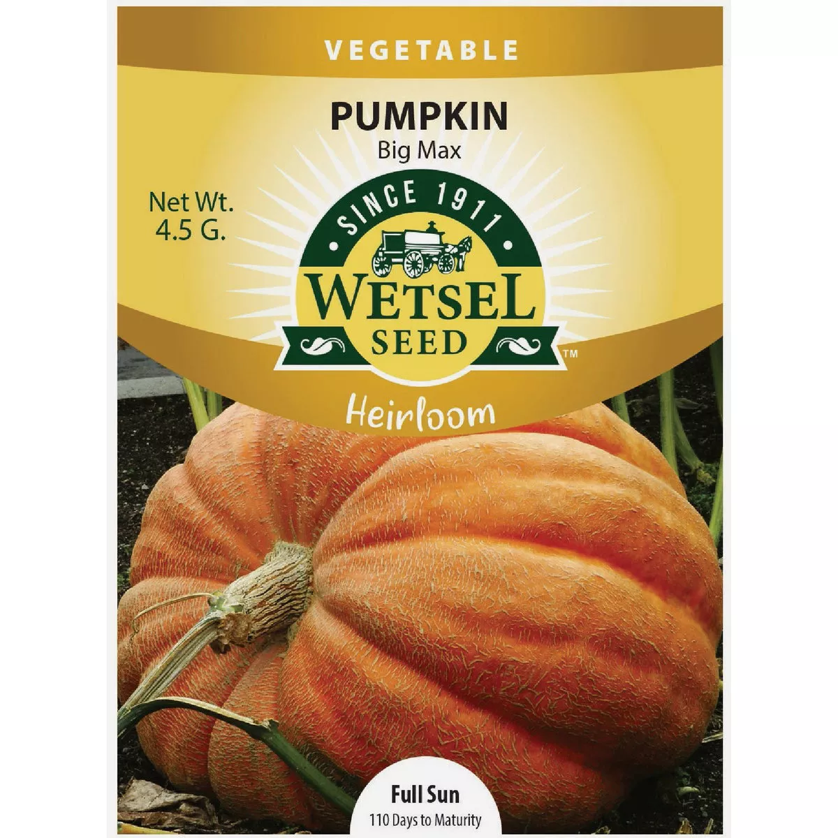 Wetsel Seed Heirloom Big Max Pumpkin Seed Packet
