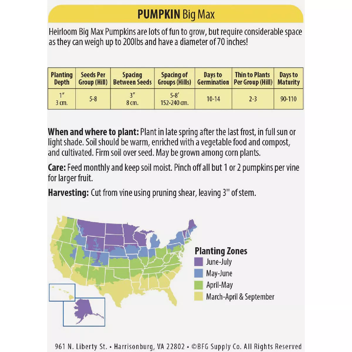 Wetsel Seed Heirloom Big Max Pumpkin Seed Packet - photo 3