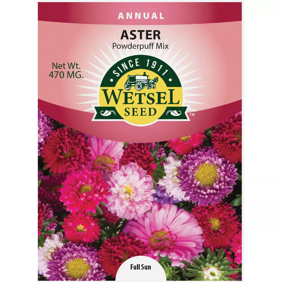 Wetsel Seed Powderpuff Aster Flower Seed Packet - photo 3