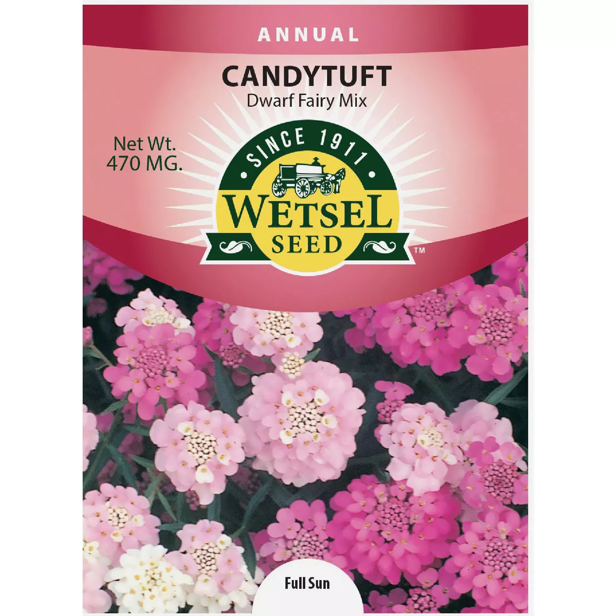 Wetsel Seed Dwarf Fairy Mix Candytuft Flower Seed Packet - photo 3