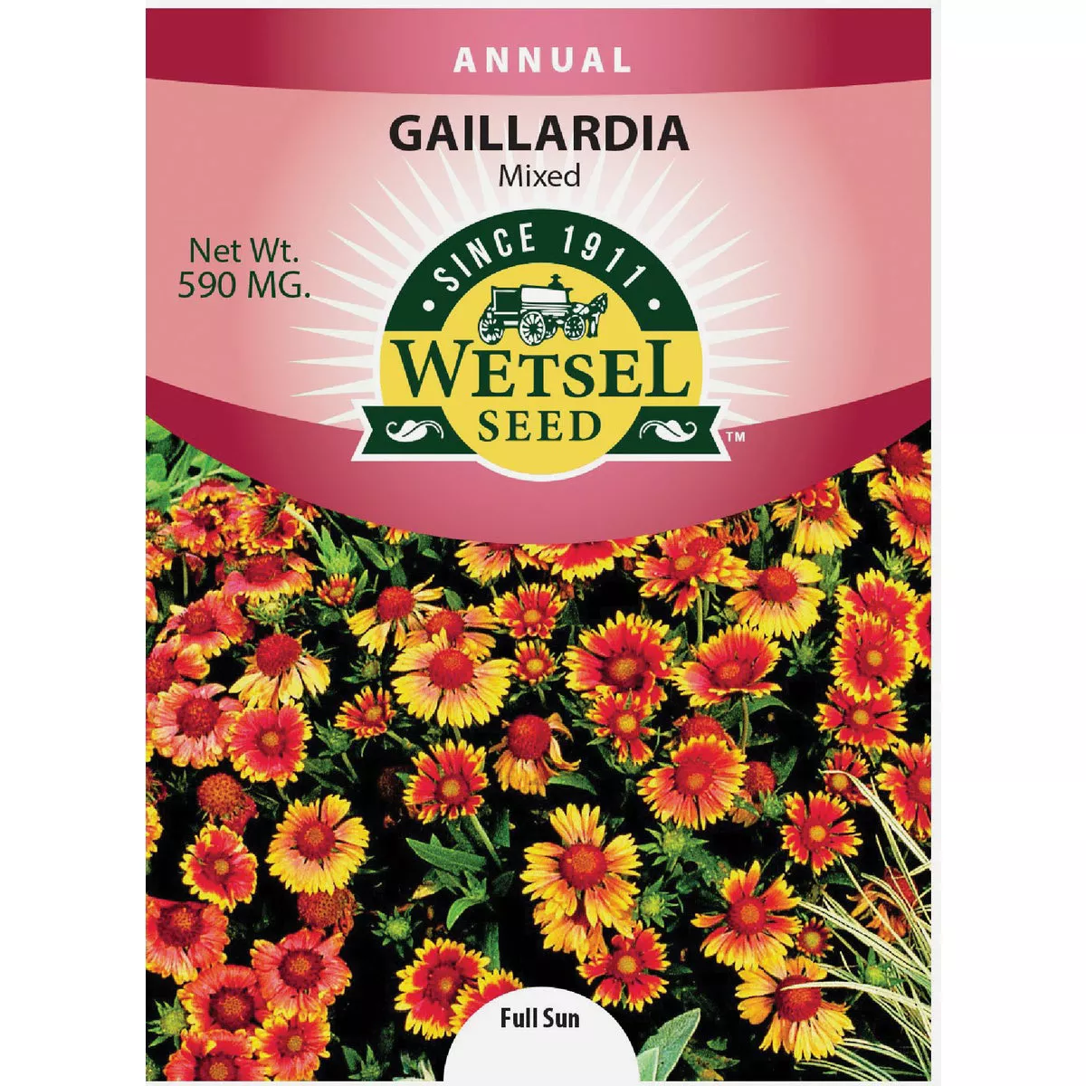 Wetsel Seed Mixed Gaillardia Flower Seed Packet - photo 3