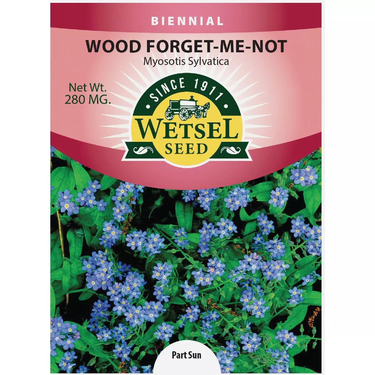 Wetsel Seed Forget-Me-Not Myosotis Flower Seed Packet-