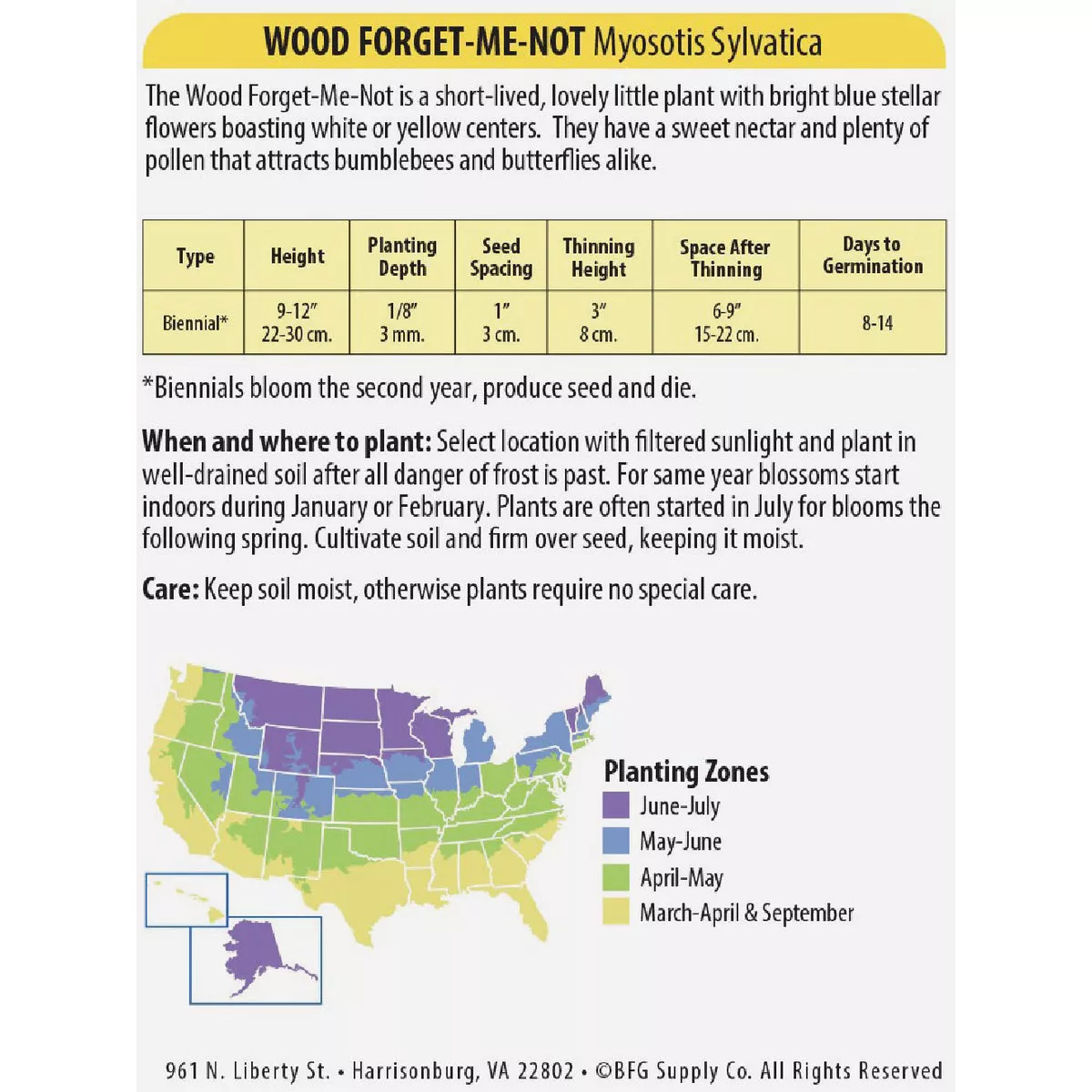 Wetsel Seed Forget-Me-Not Myosotis Flower Seed Packet- - photo 2